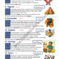 Vocabulary builder